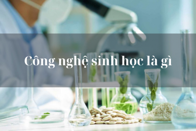 Công nghệ sinh học ra làm gì? Cơ hội nghề nghiệp hấp dẫn